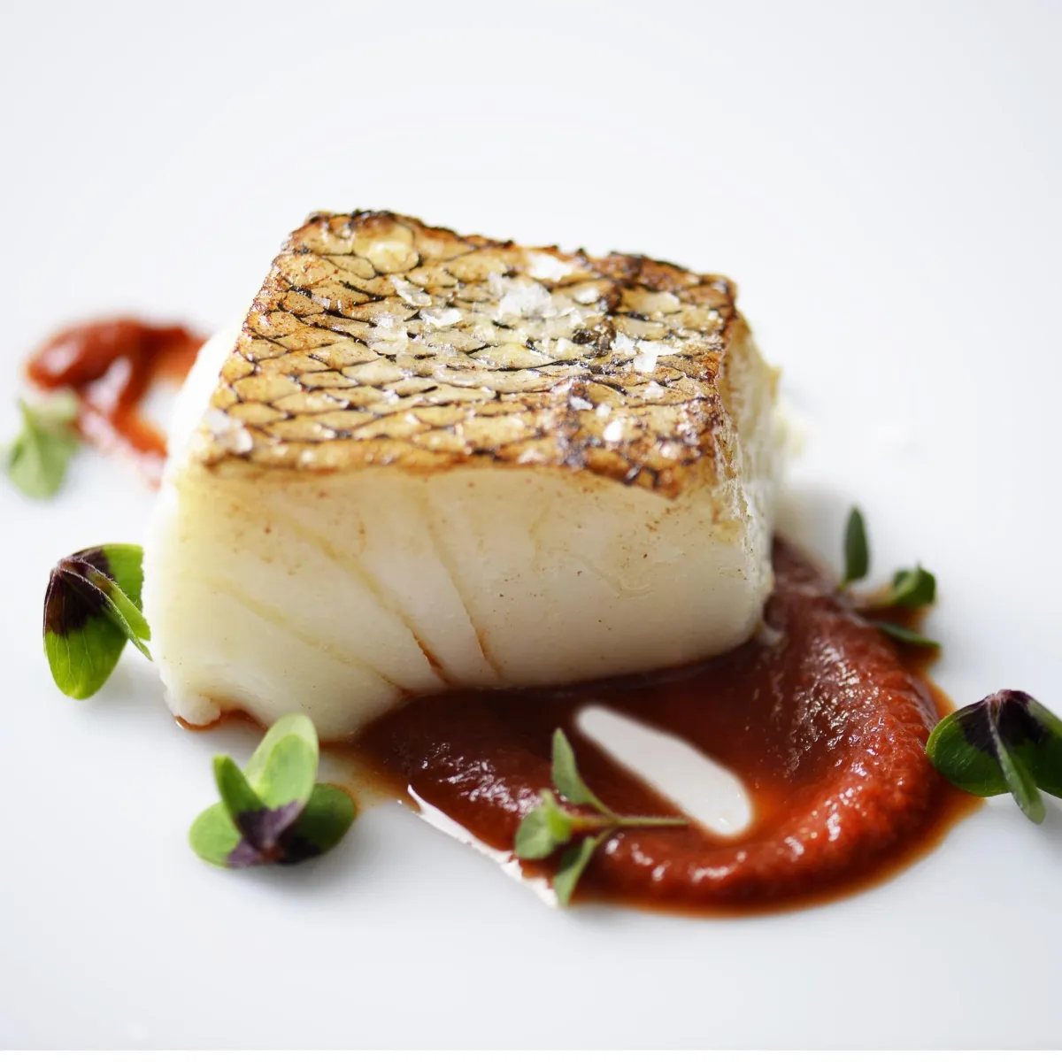 Tooth Fiah Toothfish (Patagonian Toothfish, Dissostichus eleginoides)
