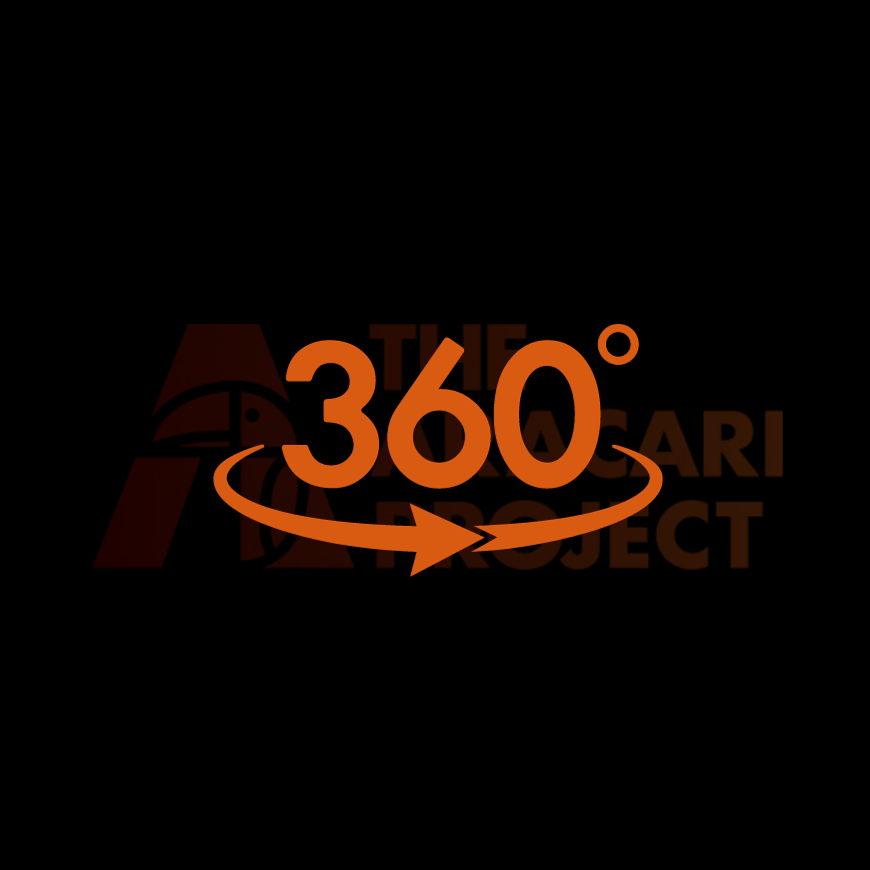 360 Pattern of Life Assessment