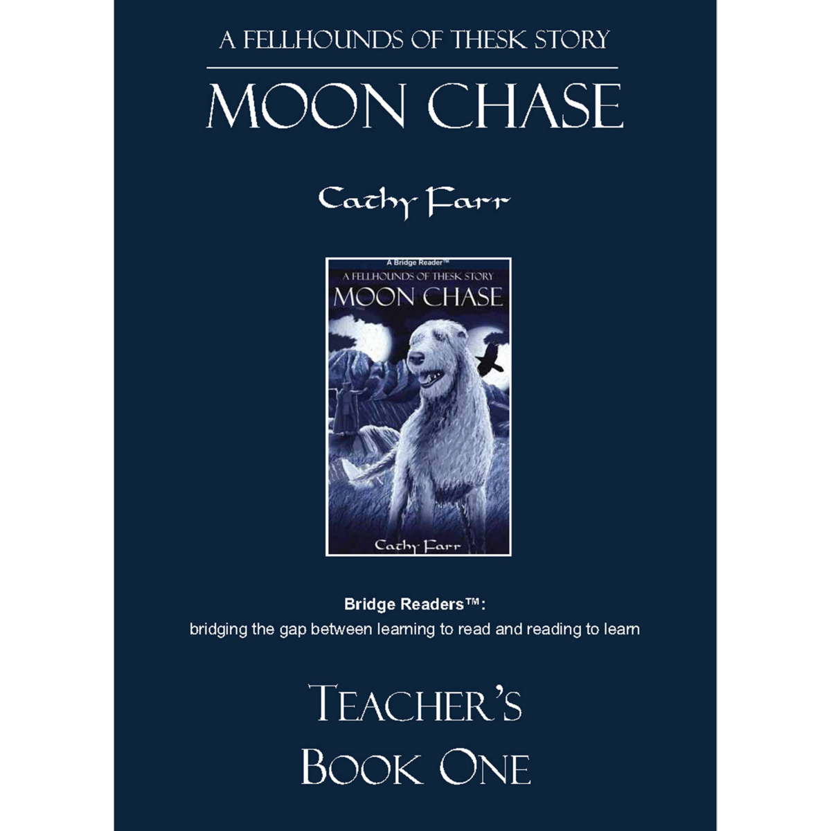 Moon Chase, Teacher's Book