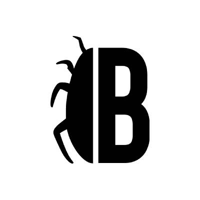 Bug Bounty Program