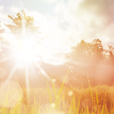 Going green through renewables: a quick guide for corporates