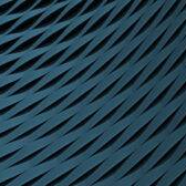 Quantitative U.S. Large Cap Environmental Equity Strategy