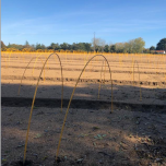 Arceaux fibres gainés