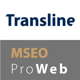 eCommerce & Multilingual SEO