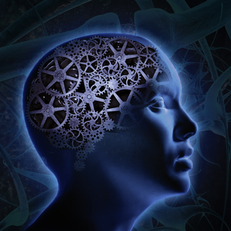 Memory Machine™ Standard Edition