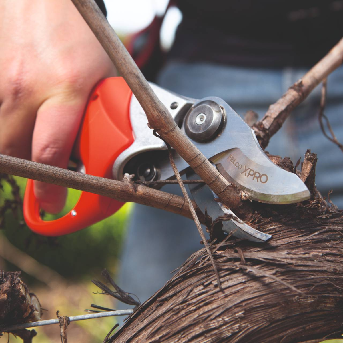 Sécateurs électriques FELCO POWER BLADE SYSTEM