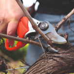 Sécateurs électriques FELCO POWER BLADE SYSTEM