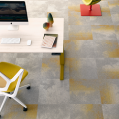 Serene & Serene Colour