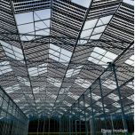 Projet Lubera | EWBuchs | Insolight