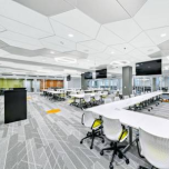 DesignFlex - Reinvent your Ceiling