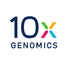 10X Genomics