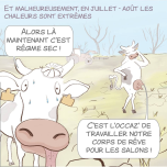 Réalisation de bandes dessinées sur mesure (illustrations, stripcomics - 3 cases, planches)