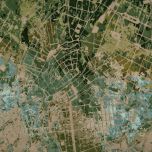 URBAN JUNGLE CARPETS WITH SOUL