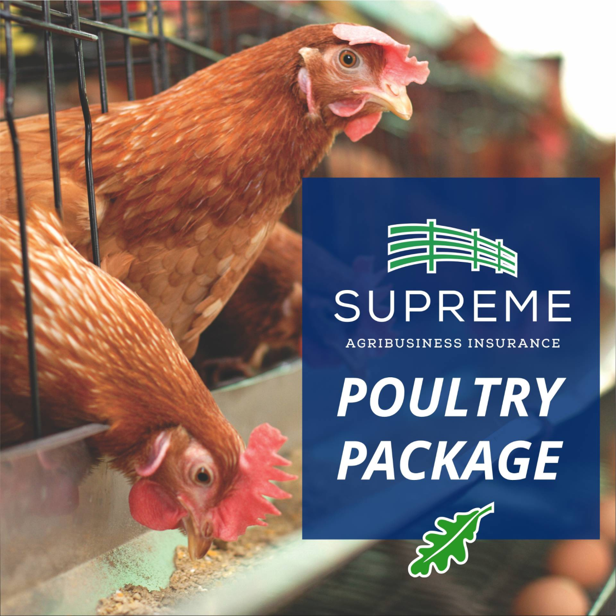 Poultry Farm Insurance Package - Highlights