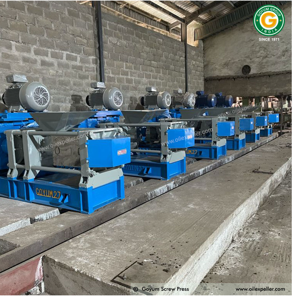 Palm Kernel Oil Extraction Plant