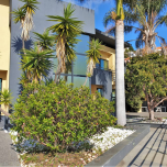 Villa T4 in Boa Nova, Funchal