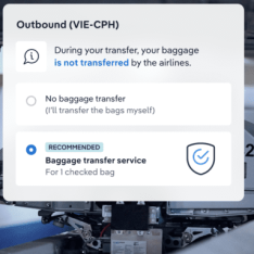 Virtual Interlining - Baggage through-check