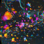 Everything from Here to Infinity