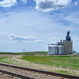 Licensing grain companies