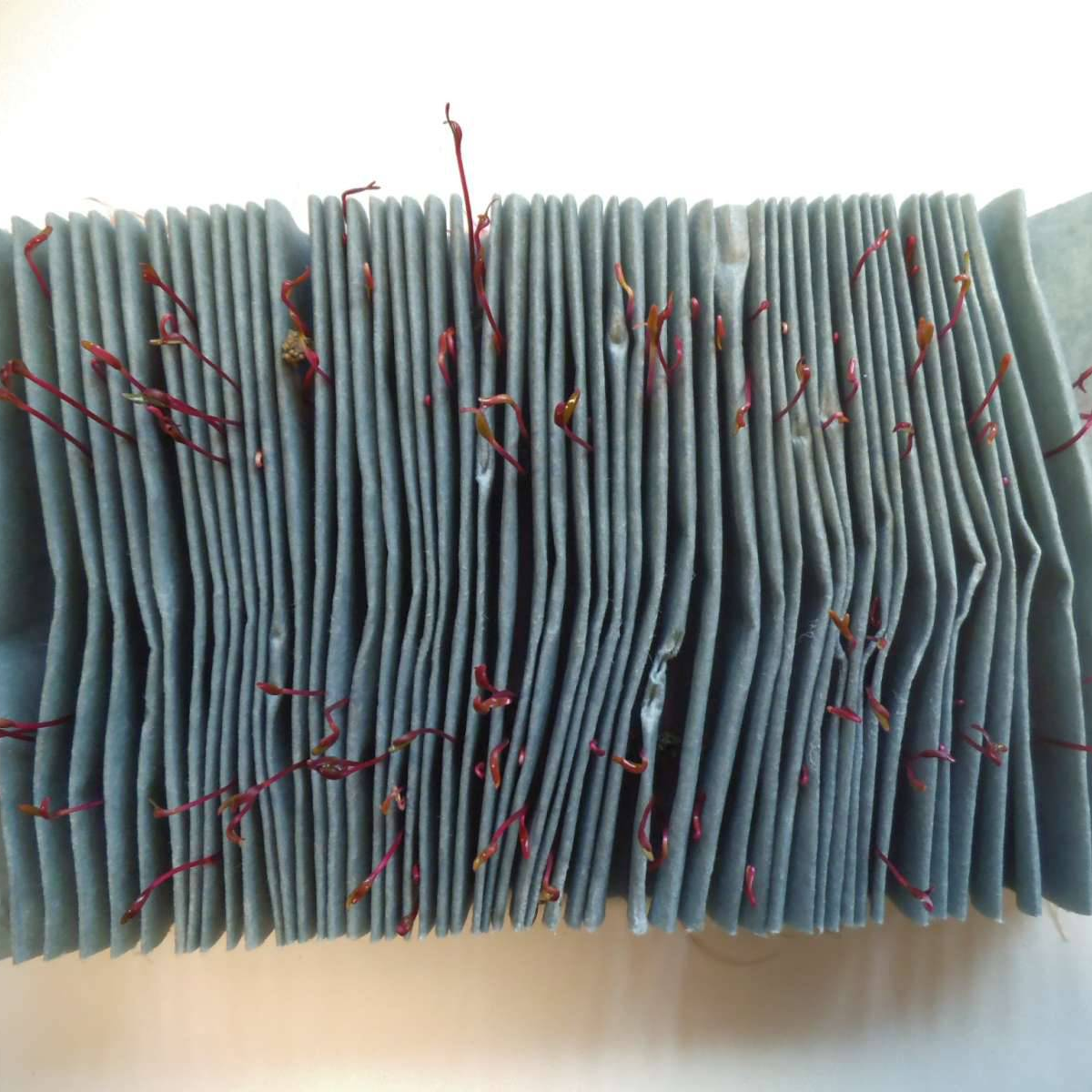 Qualité et contrôle de nos produits