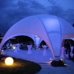 Pvc & Pvdf Coated Fabrics - Tents & Hanger Structures, Aluminium Hangers Structures, Large Marquees
