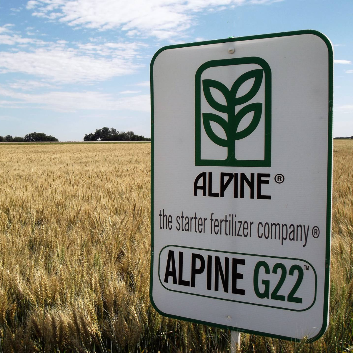 ALPINE G22®