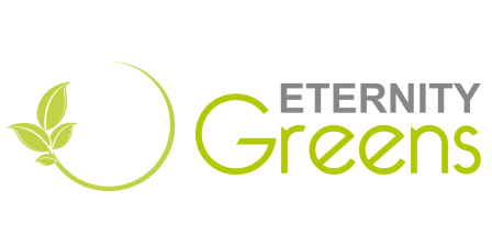 Eternity Power Solutions Private Limited