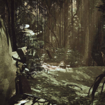 Inside Tumucumaque - a virtual reality installation