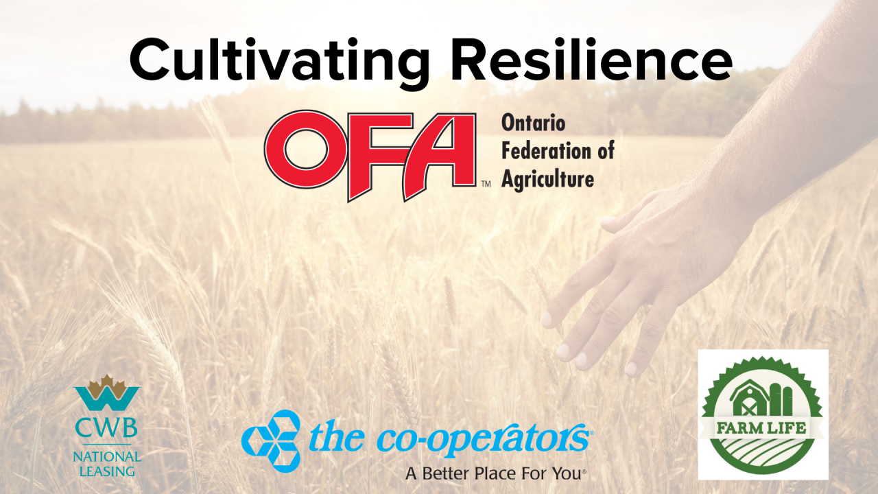 Cultivating Resilience