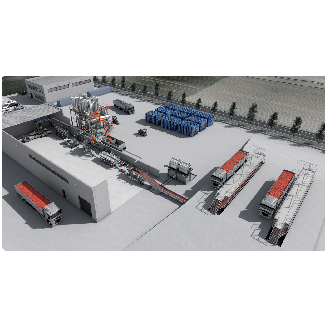 TOMATO PROCESSING LINES
