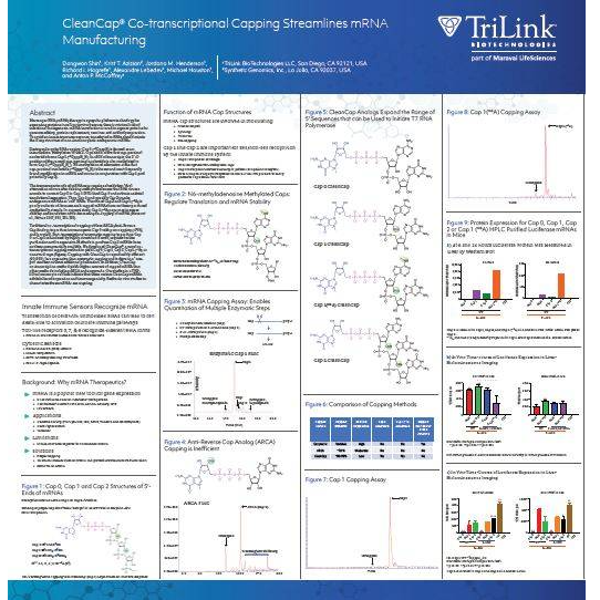 CleanCap® Co-transcriptional Capping Streamlines mRNA Manufacturing