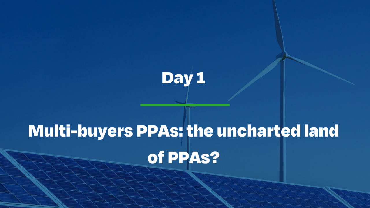 Multi-buyers PPAs: the uncharted land of PPAs?