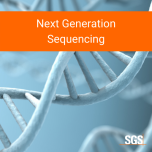 Biosafety Testing Services For Biopharmaceuticals