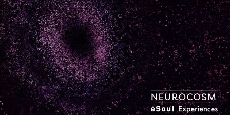Neurocosm