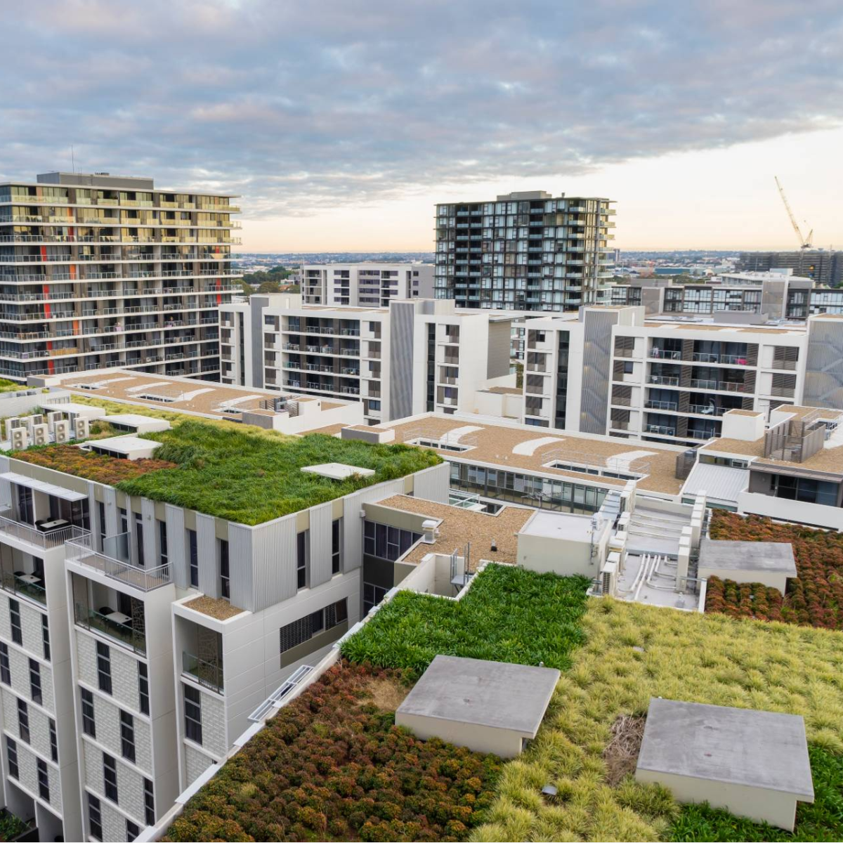 Toitures végétalisées – de la conception à la construction