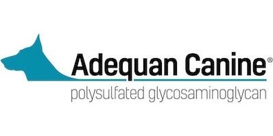 American Regent Animal Health