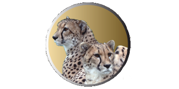 Logiciels Deltek Inc