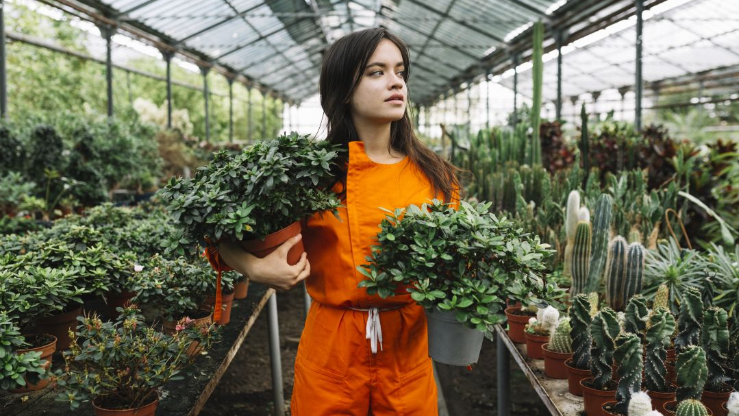 Masterclass - La Nouvelle Segmentation des Rayons Plantes