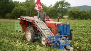 SIVAL Innovation 2024 : REAM-AGRI, la machine à ramasser les melons