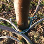 Trellising equipment for all installations