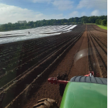 Sélection variétale