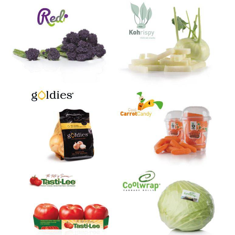 Concepts innovants Bejo