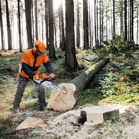 MS 261 C-M - $729.95 (MSRP: $779.95)