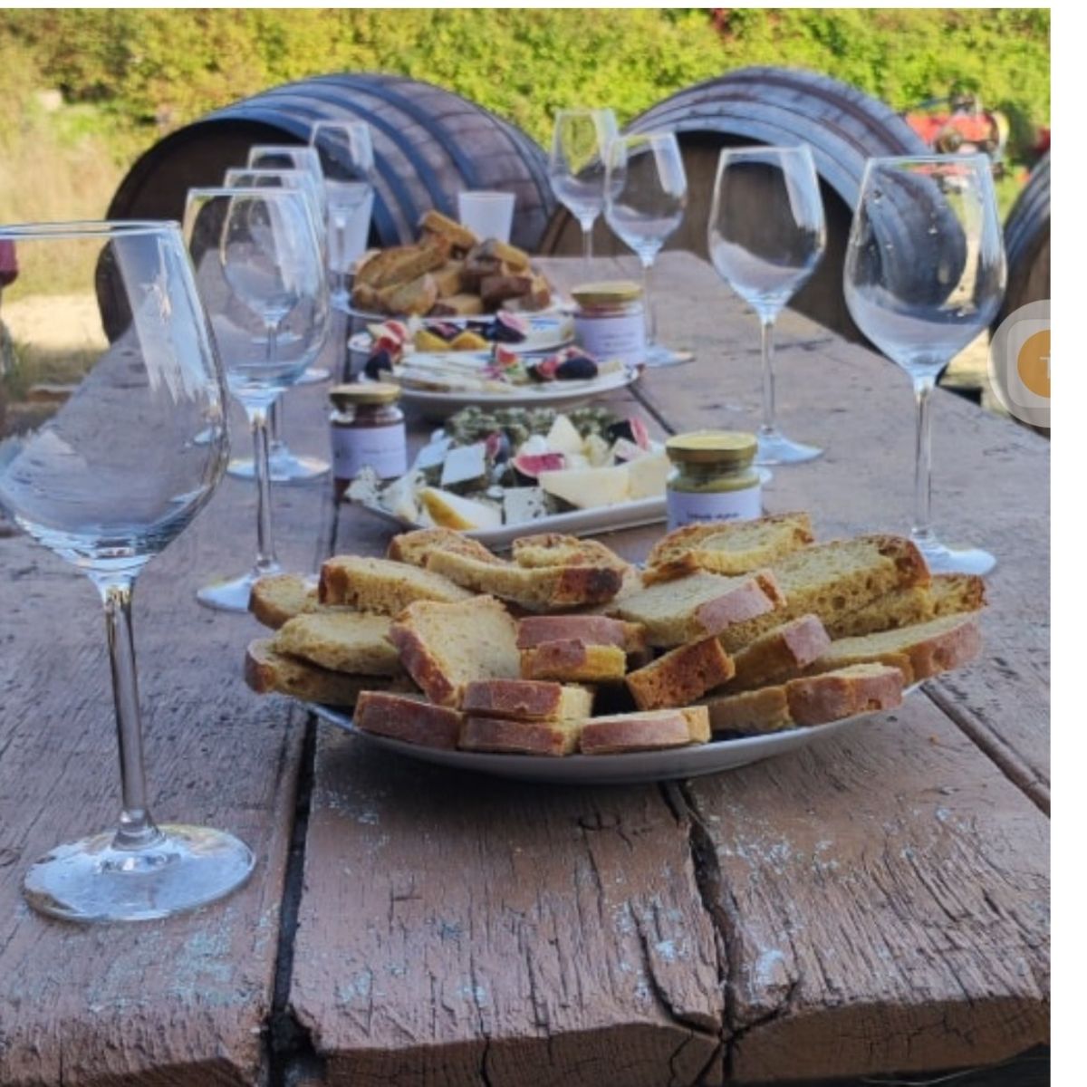 Dégustation gourmande