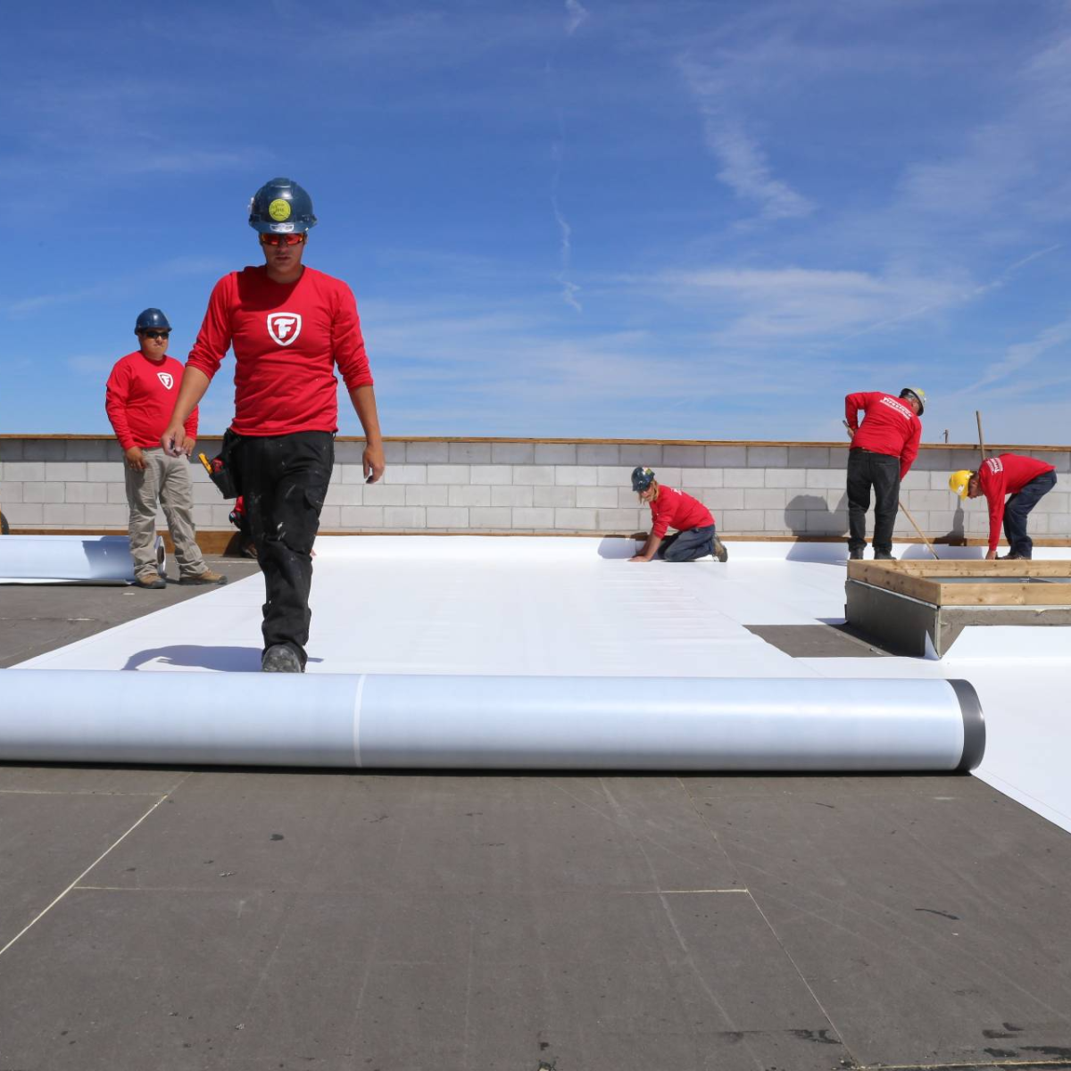 Membrane d'étanchéité autocollante: UltraPly TPO SA