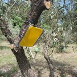 piège connecté e-gleek