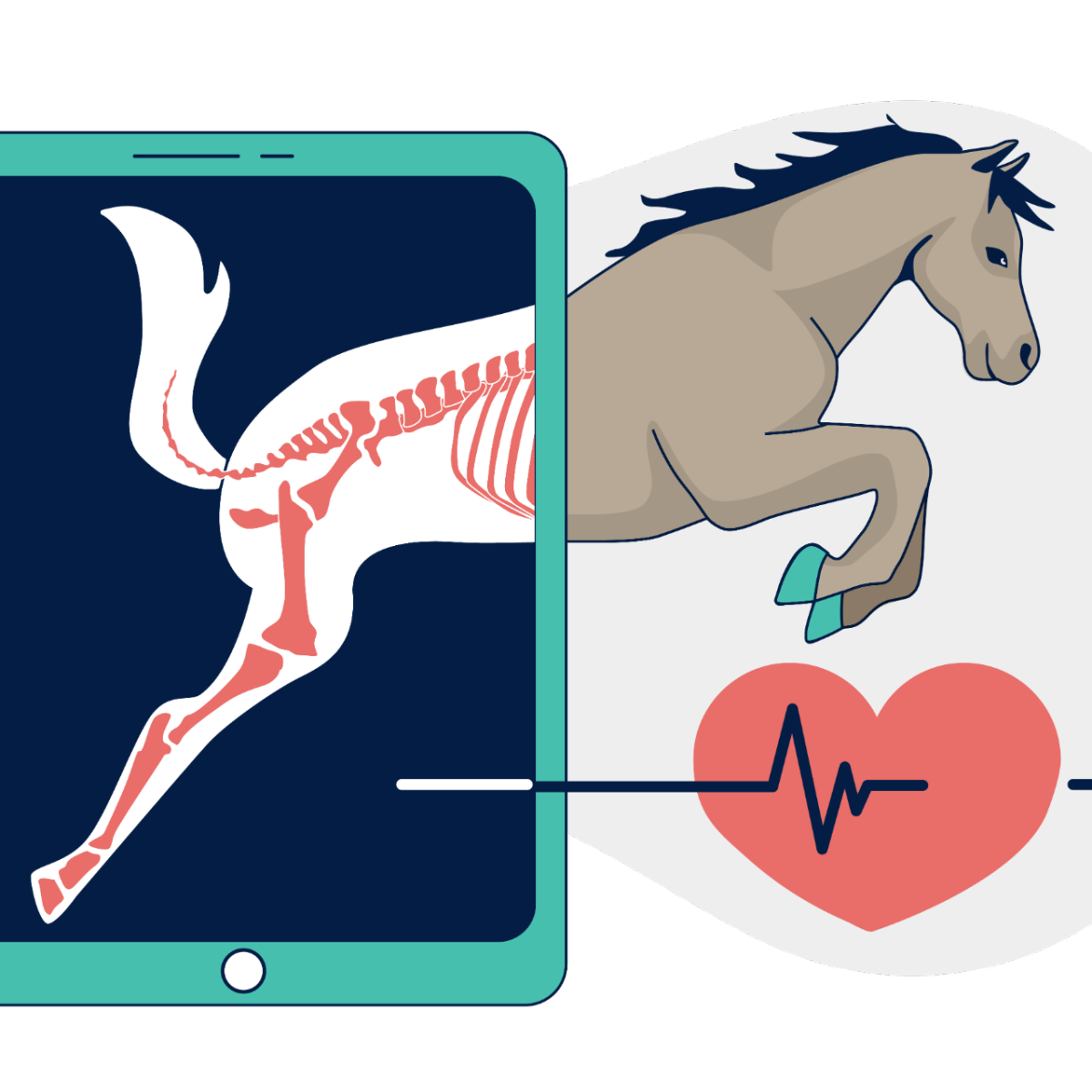 Opening a new clinic?