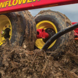 Sunflower seeding and tillage