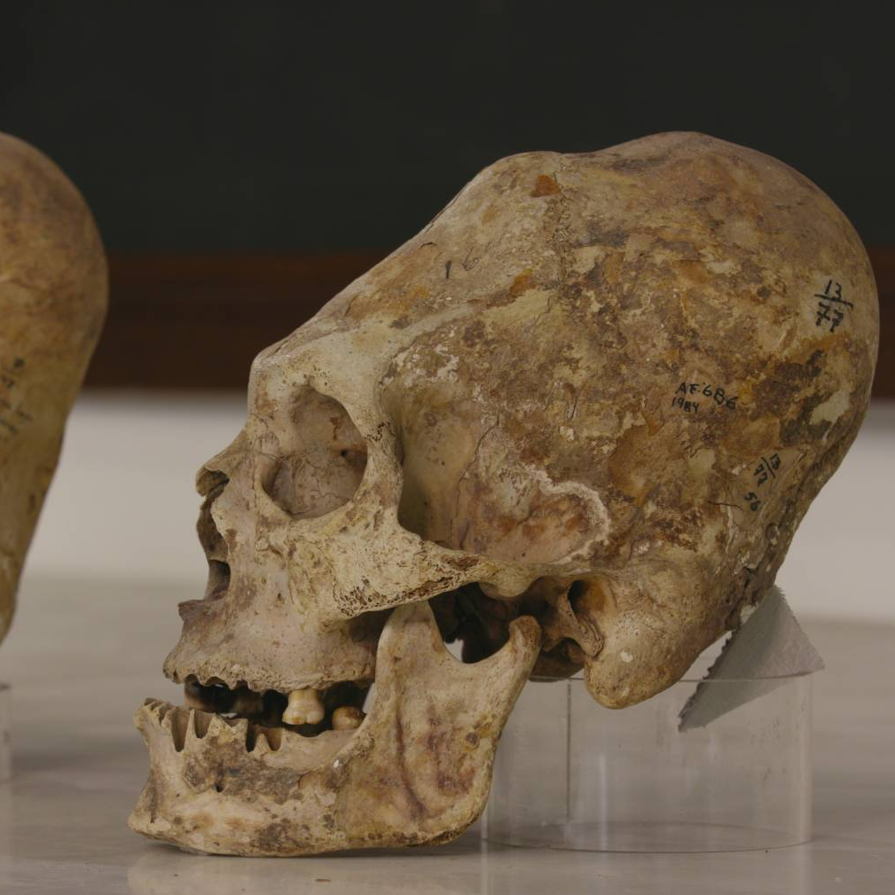 THE LAST SECRETS OF THE NASCA 52' 4K - a One Planet co-production for France 5