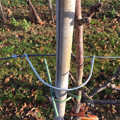 Trellising equipment for all installations
